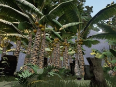 AztecJungleScene_06
